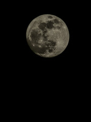 Naklejka premium Full moon against a black night sky