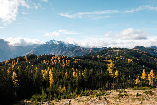 Autumn forest and mountain range near Logarska Dolina, in the Slovenian Alps, with signs of logging in the foreground