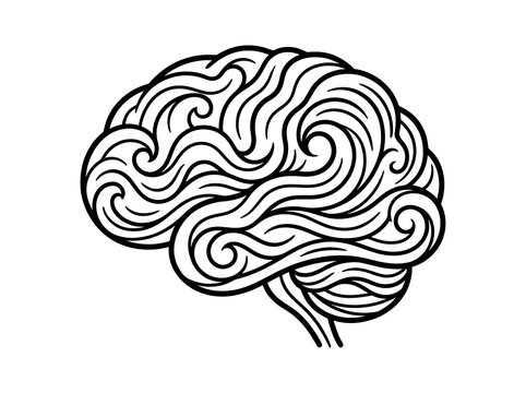 Human brain illustration with intricate gyri and sulci