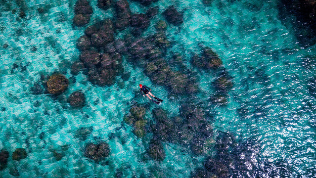 Top aerial view of tourist free diver enjoy on water sport diving under crystal clear of water in the island of summer trip