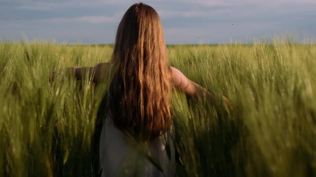 Rear-facing woman centered in tall green wheat field with arms extended at shoulder level, fingertips sweeping through stalks and causing slight foreground blur, upright posture and hanging long