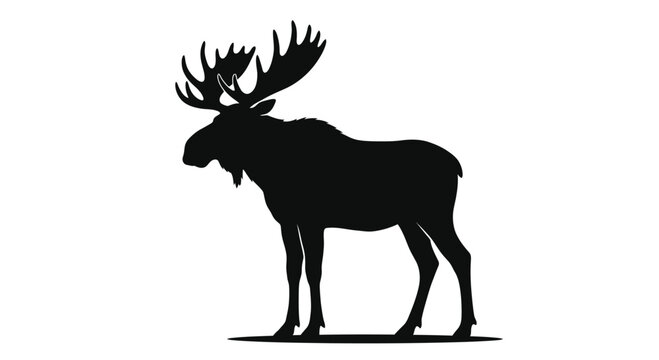 Moose Silhouette Against White Background A Dark Animal Form Silhouette