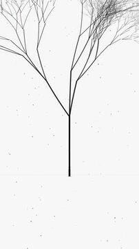 Minimalist black and white fractal tree growth animation on clean background