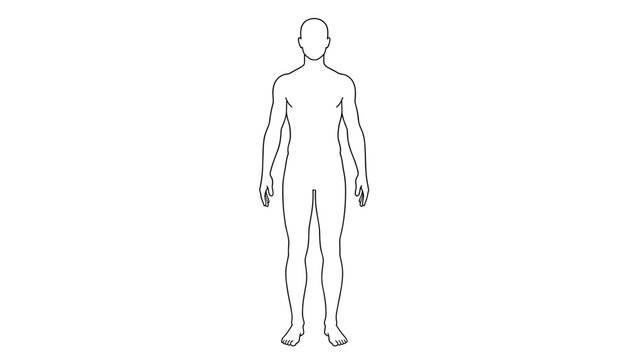 Minimalist outline vector illustration of a male human body silhouette isolated on a clean white background.
