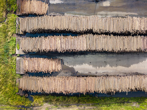 Aerial view of large stacks of timber logs arranged in rows at a sawmill facility in Lauciene Parish, Talsi Municipality, Latvia.
