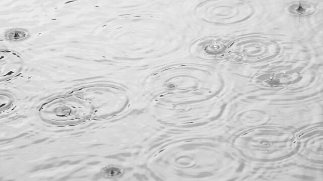 Raindrops falling onto the water surface, creating expanding circular ripples, splashes, and bubbles, black and white, slow motion video.