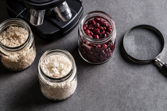Grains, beans, and scientific tools for analysis on a dark surface