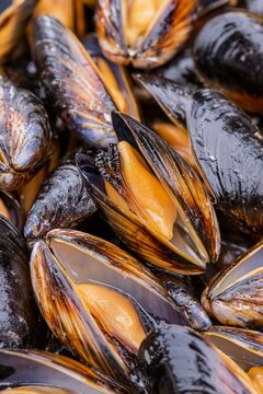 Fresh cooked mussels in open dark shells photographed in an appetizing macro food composition