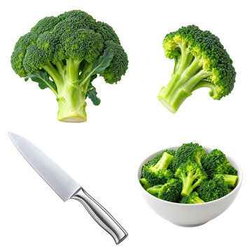 Broccoli head, floret, chef's knife, and bowl of steamed broccoli on transparent background
