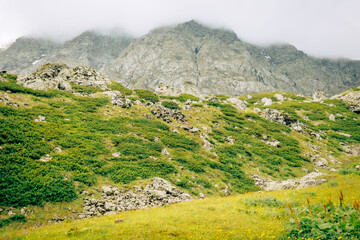 Low clouds drift across rugged peaks above a green alpine slope with wildflowers in the Abudelauri area of Georgia, creating a fresh, dramatic and untamed mountain atmosphere © Anna