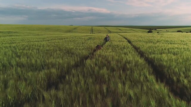 Two people travel along tire tracks through wide rolling barley field with one woman walking away from camera on central path and another person standing ahead wearing straw hat, visible movement
