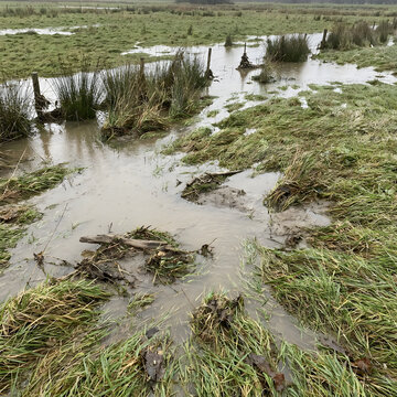 Floodwater receding from a grassy field leaving behind mud and debris deposits.