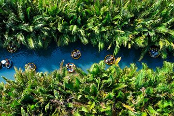 Fototapeta premium Aerial view, tourists from relax and experiencing a basket boat tour at the coconut water river canal mangrove palm forest