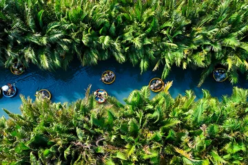 Aerial view, tourists from relax and experiencing a basket boat tour at the coconut water river canal mangrove palm forest © aapsky