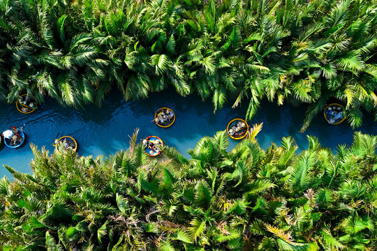 Aerial view, tourists from relax and experiencing a basket boat tour at the coconut water river canal mangrove palm forest