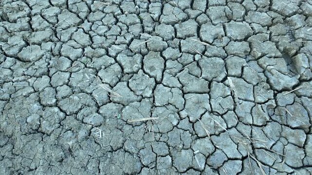 Close-up view of cracked dry earth surface with scattered straw fragments. Global warming and environmental destruction