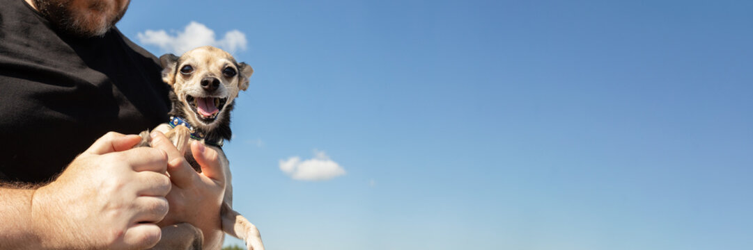 cheerful small dog held securely by its owner against a bright blue sky, a playful pet travel portrait with generous copy space for animal care and tourism campaigns
