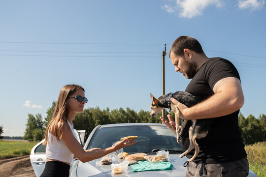 woman offering a piece of food while a man holds an interested small dog beside a roadside picnic, illustrating begging behavior and responsible pet food choices