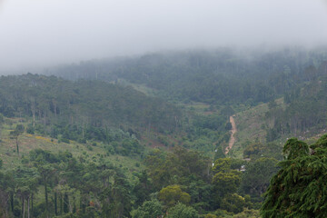 Fototapeta premium Foggy mountain landscape with winding road through green forest