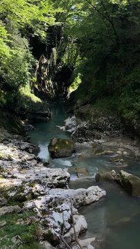 cool turquoise river winds between pale boulders and dense forest walls, creating a tranquil rocky gorge landscape with flowing water, deep natural shade and summer freshness