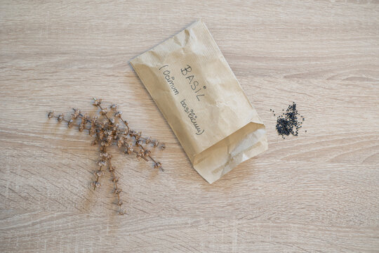 Basil seeds in a brown paper packet next to dried basil plant sprigs on a light wooden surface, preparing for home gardening and cultivating patience