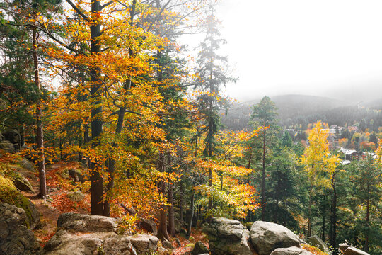 Autumn landscape in the mountain forest of the Karkonosze National Park in Poland, Europe