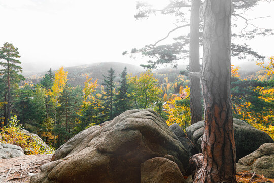 Autumn landscape in the mountain forest of the Karkonosze National Park in Poland, Europe
