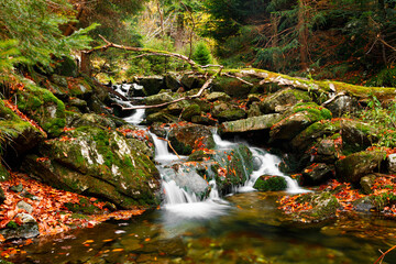 Naklejka premium Waterfall. Autumn landscape with waterfall in the mountain forest of the Karkonosze National Park in Poland, Europe