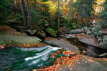 Naklejka premium Waterfall. Autumn landscape with waterfall in the mountain forest of the Karkonosze National Park in Poland, Europe
