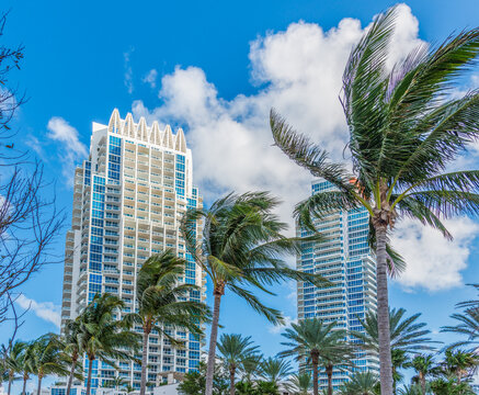 Palm trees and skyscrapers in Miami Beach under blue sky