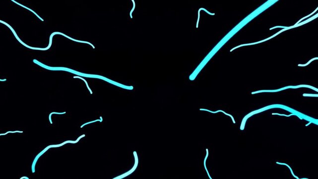 Thousands of white neon dashes pulse into a flowing wave in a seamless monochrome digital background.