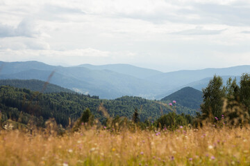 Fototapeta premium mountain landscape
