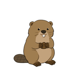 Cute Beaver Standing Illustration © CutieP