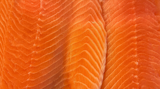 Fresh Raw Salmon Fillets Showing Natural Orange Flesh and Marbling Texture