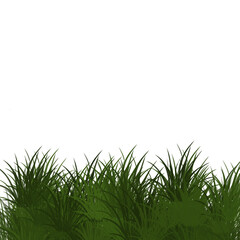 Fototapeta premium Fresh green grass border field isolated on transparent background