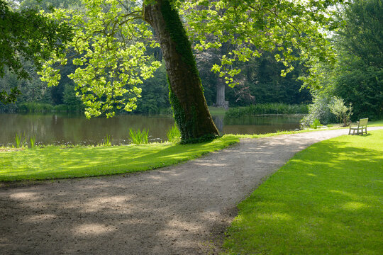 Scenic Walking Path in Summer Park Near Calm Pond. Beautiful Green Lawn with Large Tree and Wooden Bench on Lakeside.