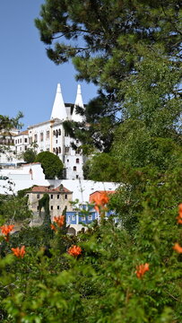 a view of sintra