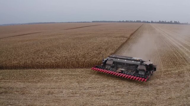 Aerial view of combine harvester cutting corn across vast field with diagonal harvest swath under overcast sky, with harvest, combine, harvester, corn detail, showing maize, field, farmland