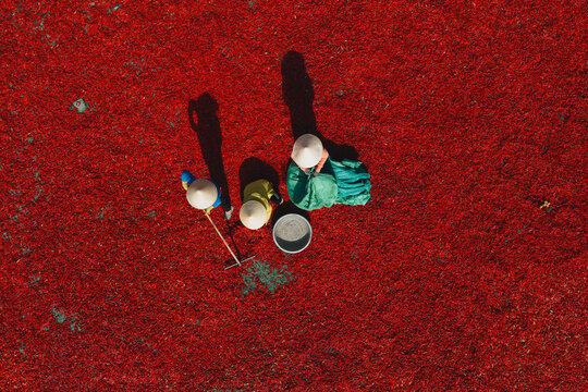 Aerial view of a worker with a conical hat sorting red chilies drying in De Gi, Binh Dinh, Vietnam