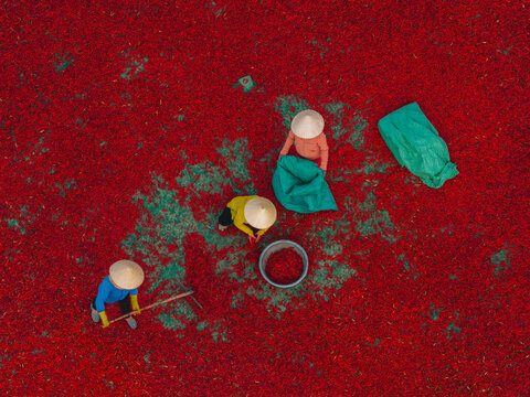 Aerial view of a worker with a conical hat sorting red chilies drying in De Gi, Binh Dinh, Vietnam