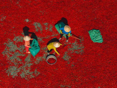 Aerial view of a worker with a conical hat sorting red chilies drying in De Gi, Binh Dinh, Vietnam