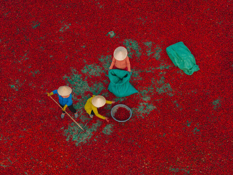 Aerial view of a worker with a conical hat sorting red chilies drying in De Gi, Binh Dinh, Vietnam