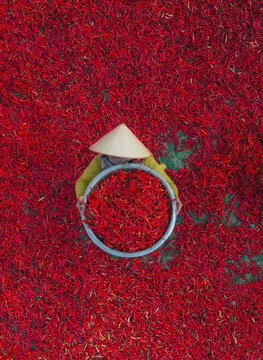 Aerial view of a worker with a conical hat sorting red chilies drying in De Gi, Binh Dinh, Vietnam