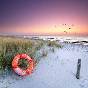 life buoy on the beach in sunset light