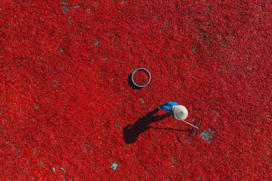 Aerial view of a line of workers raking sun-dried red chili peppers in De Gi, Binh Dinh province, Vietnam