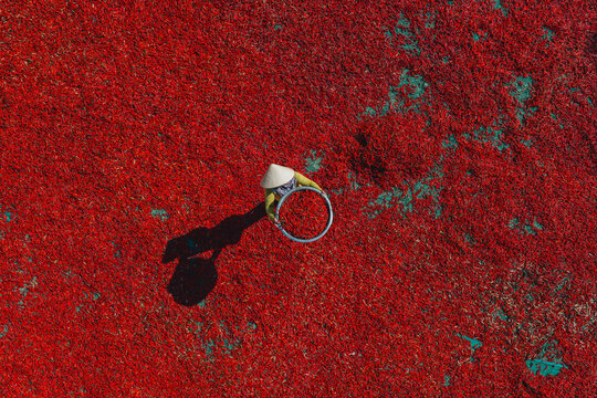 Aerial view of a worker with a conical hat sorting red chilies drying in De Gi, Binh Dinh, Vietnam