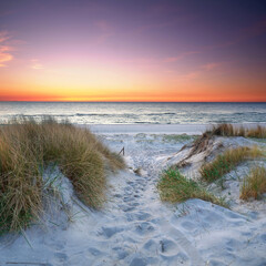 Fototapeta premium Idyllic Baltic Sea Beach with a Sandy Trail Through the Dunes