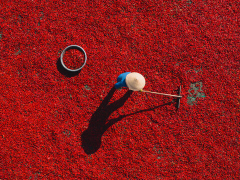 Aerial view of a line of workers raking sun-dried red chili peppers in De Gi, Binh Dinh province, Vietnam