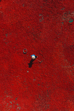 Aerial view of a line of workers raking sun-dried red chili peppers in De Gi, Binh Dinh province, Vietnam