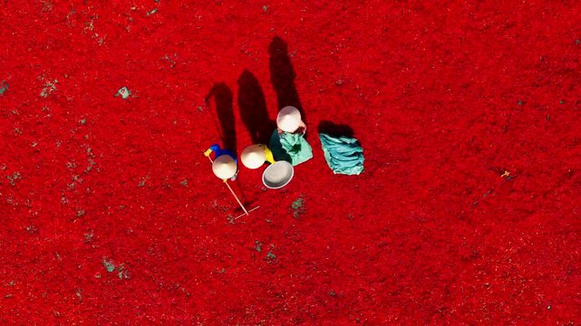 Aerial view of a worker with a conical hat sorting red chilies drying in De Gi, Binh Dinh, Vietnam
